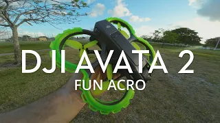 DJI Avata 2 - Dronarchy Fun Acro (Ripper Review)