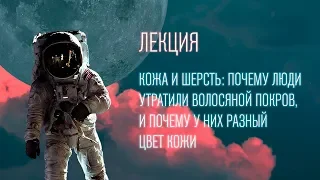 Почему люди утратили волосяной покров, и почему у них разный цвет кожи | Лекция Александра Соколова