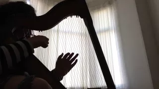 The Bitch Song - Bowling For Soup (harp cover)