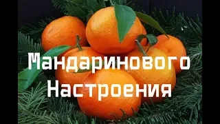 Мандаринового настроения