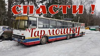 История одного Икаруса-280: Спасти нельзя утратить?