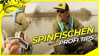 SPINNFISCHEN auf WELS mit Stefan Seuss | Tips & Tricks | Wallerangeln mit Gummifisch un spinrute.