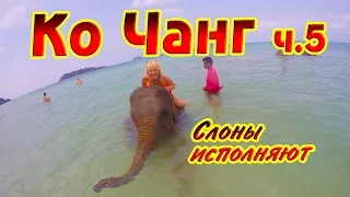 Ко Чанг. Слоны исполняют.