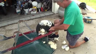 Using FOAM to fill Wheel Barrel Tire