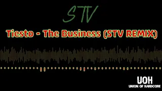 Tiesto - The Business  (STV REMIX) (FREE DOWNLOAD)