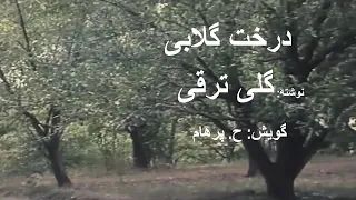 ( H. Parham  با صدای) داستان درخت گلابی از کتاب جایی دیگر -  نوشتۀ گلی ترقی