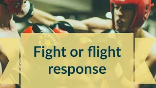 Fight or flight response | Sympathetic nervous system