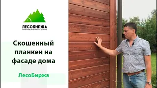 Что вы не знали о крашенном в цеху планкене