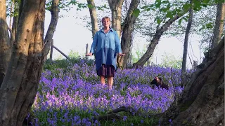 Gardening at home with Sarah | A walk through the bluebell wood