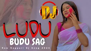 Ludu Budu Sag {Singer Kumar Satish} Nagpuri Dj Remix Nagpuri Dj Song Nagpuri Dj Remix Nagpuri Video