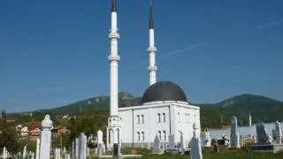 Bosnia's Fragile Peace: Continuing Struggles for Bosnia and Herzegovina