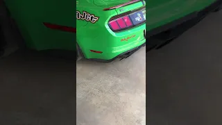 2019 Mustang GT - Track Mode Exhaust
