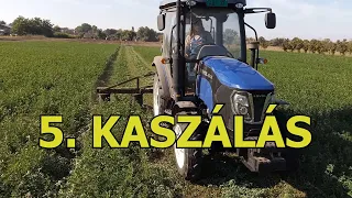 Az idei utolsó kaszálós videó | Lovol 454-III |