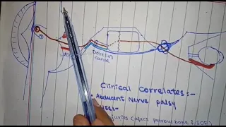 Abducent nerve anatomy and clinical correlates