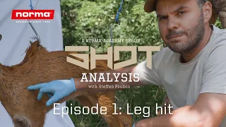 Roe Deer Shot Analysis | Leg hit | Norma Academy