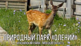 Природный парк «Олений» (2022, Краснинский район, Липецкая область)