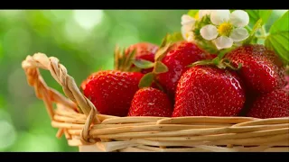 Seven Scrumptious Facts About Strawberries