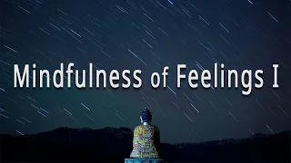 Mindfulness Of Feelings I (#11 The Four Foundations of Mindfulness) by Joseph Goldstein