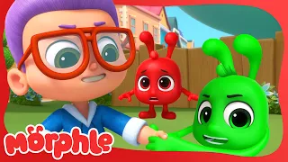 Winston and Orphle Team Up | BRAND NEW | Cartoons for Kids | Mila and Morphle