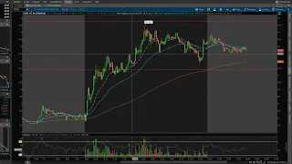 Swing Trader Live Stream