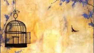 ENGLISH POEM CAGED BIRD BY MAYA ANGELOU SUMMARY B.COM 2ND SEM