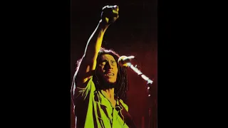 Bob Marley x Reggae Type Beat 2024 - "Enough" | "War" Type Beat