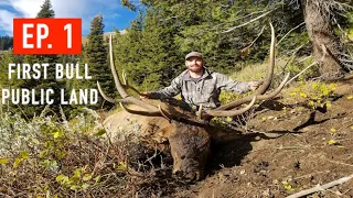 Idaho Rifle Elk Hunt | GIANT FIRST BULL
