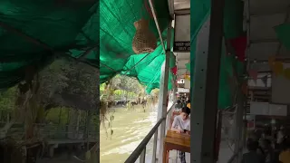 Bangkok 空叻瑪榮水上市場