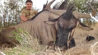 Namibiya ov, hunting in Namibia, ОХОТА В НАМИБИИ