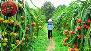 HOW TO TRAVEL VIETNAM, CAMBODIA AND LAOS