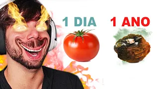 Deixei o Tomate 1 ANO FORA da Geladeira......