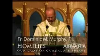 Aug 01 - Homily: St. Alphonsus, Bishop and Doctor