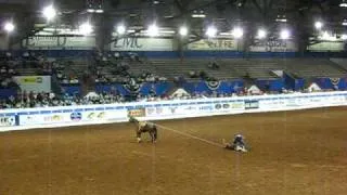 Trevor Brazile on Roan Ranger  at 2009 Lazy E Timed Event Championship-25th Annual