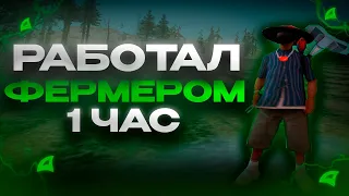 РАБОТАЛ 1 ЧАС НА ФЕРМЕ ЛЬНА И ХЛОПКА! ТОП ЗАРАБОТОК НА ARIZONA RP!