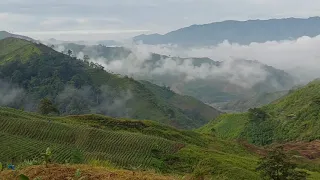 Sea of Clouds ng sitio Nabuntoran Kalagangan San Fernando Bukidnon #sea #clouds #vlog