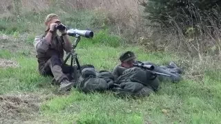 Caccia al capriolo maschio d'estate