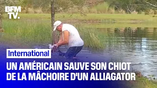 En Floride, un Américain sauve son chiot des mâchoires d'un alligator