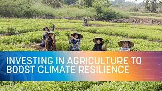 COP27 | Investing in Agriculture to Boost Climate Resilience