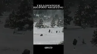 CREATURE SIGHTING #2 | Yellowstone Bigfoot