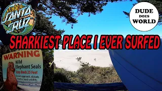 SANTA CRUZ CA | SURF VLOG| GREAT WHITE SHARK BAIT NORCal || Dude does world