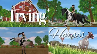 Trying Horses: Find a New Project With Me || SSO RRP