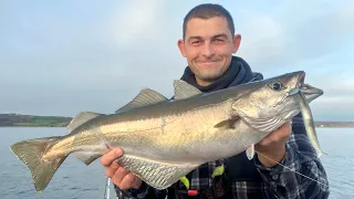 Sea Fishing UK - Fantastic Lure Fishing and exploring Deep Sea Wrecks | The Fish Locker