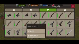 Mini dayz2 - Gun Details