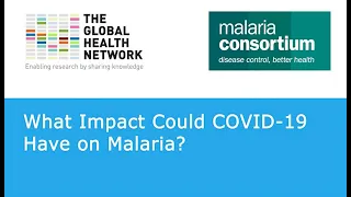 What Impact Could COVID-19 Have on Malaria? Incl. Q&A