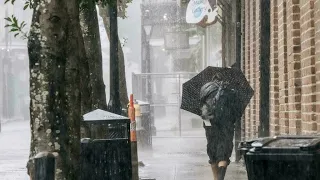 Hurricane Ida makes landfall in Louisiana as category 4 storm • FRANCE 24 English