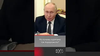 Путин представил возможного преемника в курятнике