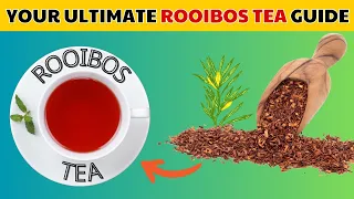 Rooibos Tea: What the Experts Say - Benefits, Tips, and More