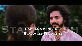 Poolamme pilla Slowed reverb song | 8d song  |Telugu song | tipstelugu |star Harsh |southIndian song