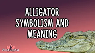 Alligator Symbolism and Meaning