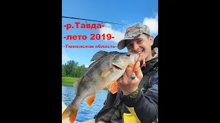 Рыбалка на Тавде этим летом, часть 1 / Тюменская область / Лето 2019
